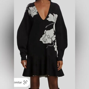 Tanya Taylor juliet dress sz L